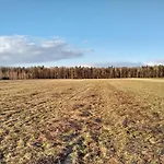 Gospodarstwo agroturystyczne Pod Czarną Sosną *