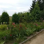 Pod Czarna Sosna