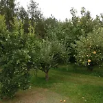 Gospodarstwo agroturystyczne Pod Czarną Sosną *