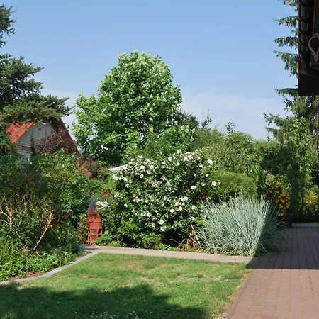 Pod Czarna Sosna Farm stay *