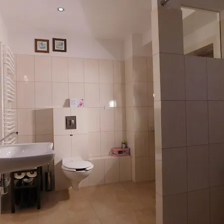 农家乐 Pod Czarna Sosna *