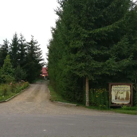 农家乐 Pod Czarna Sosna *