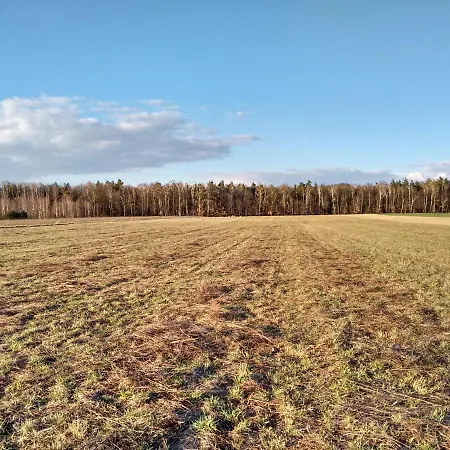 Farm stay Pod Czarna Sosna *