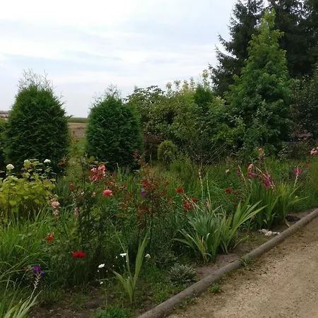 Pod Czarną Sosną