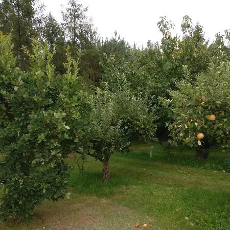 Gospodarstwo agroturystyczne Pod Czarną Sosną *