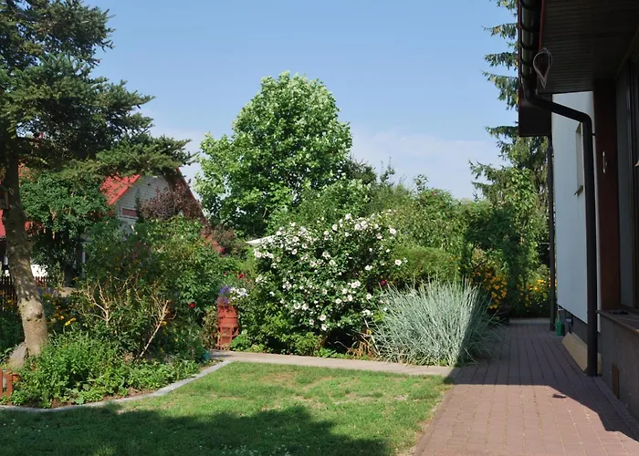 Pod Czarną Sosną Gospodarstwo agroturystyczne *