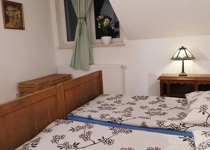 Gospodarstwo agroturystyczne Pod Czarną Sosną Bialy Lug