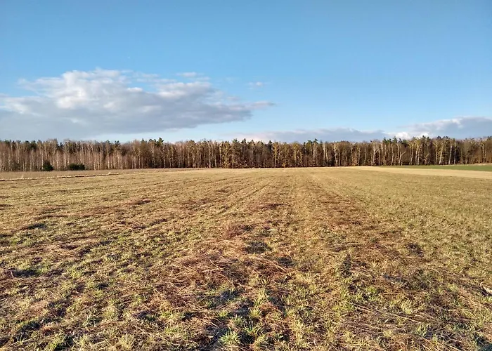 Gospodarstwo agroturystyczne Pod Czarną Sosną *