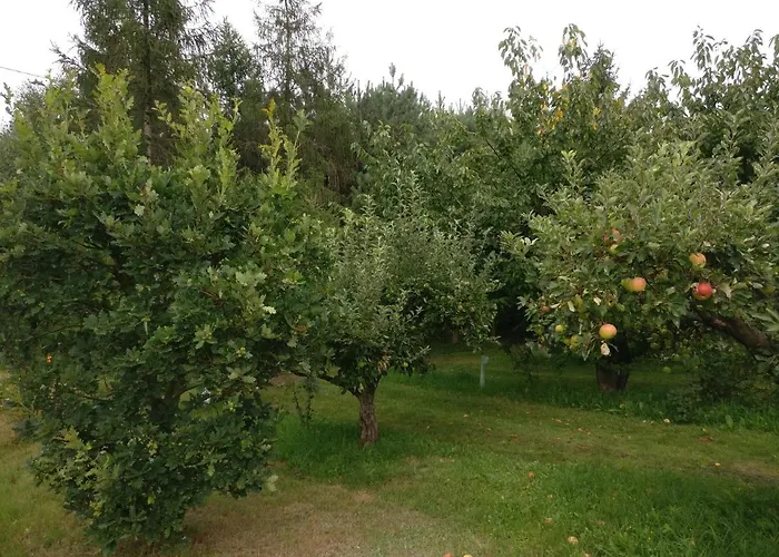 Gospodarstwo agroturystyczne Pod Czarną Sosną *